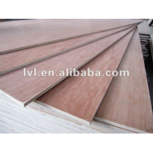 Door skin used plywood sheet made in China